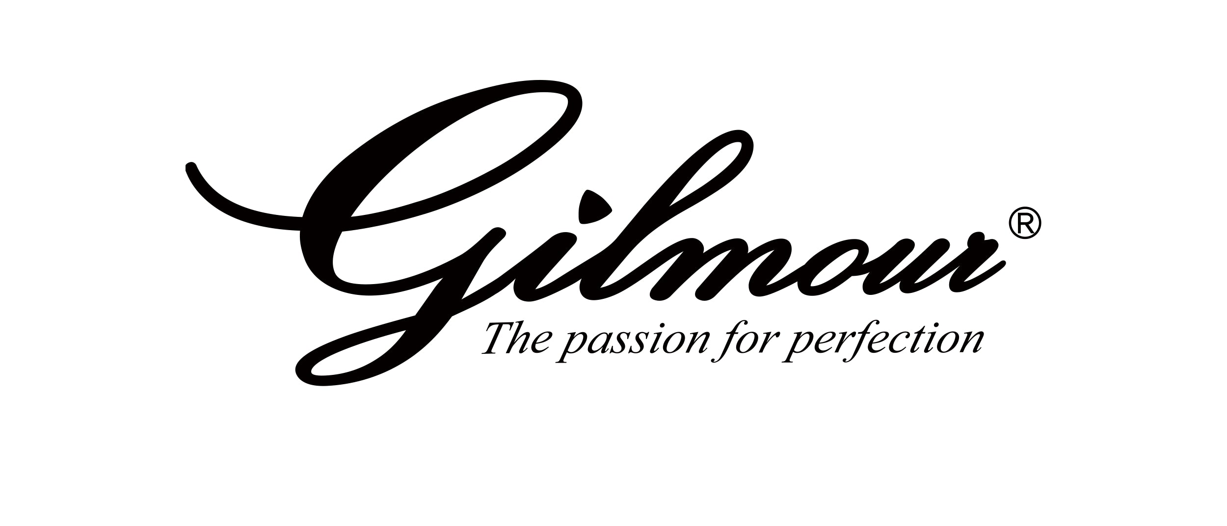 Gilmour Guitars