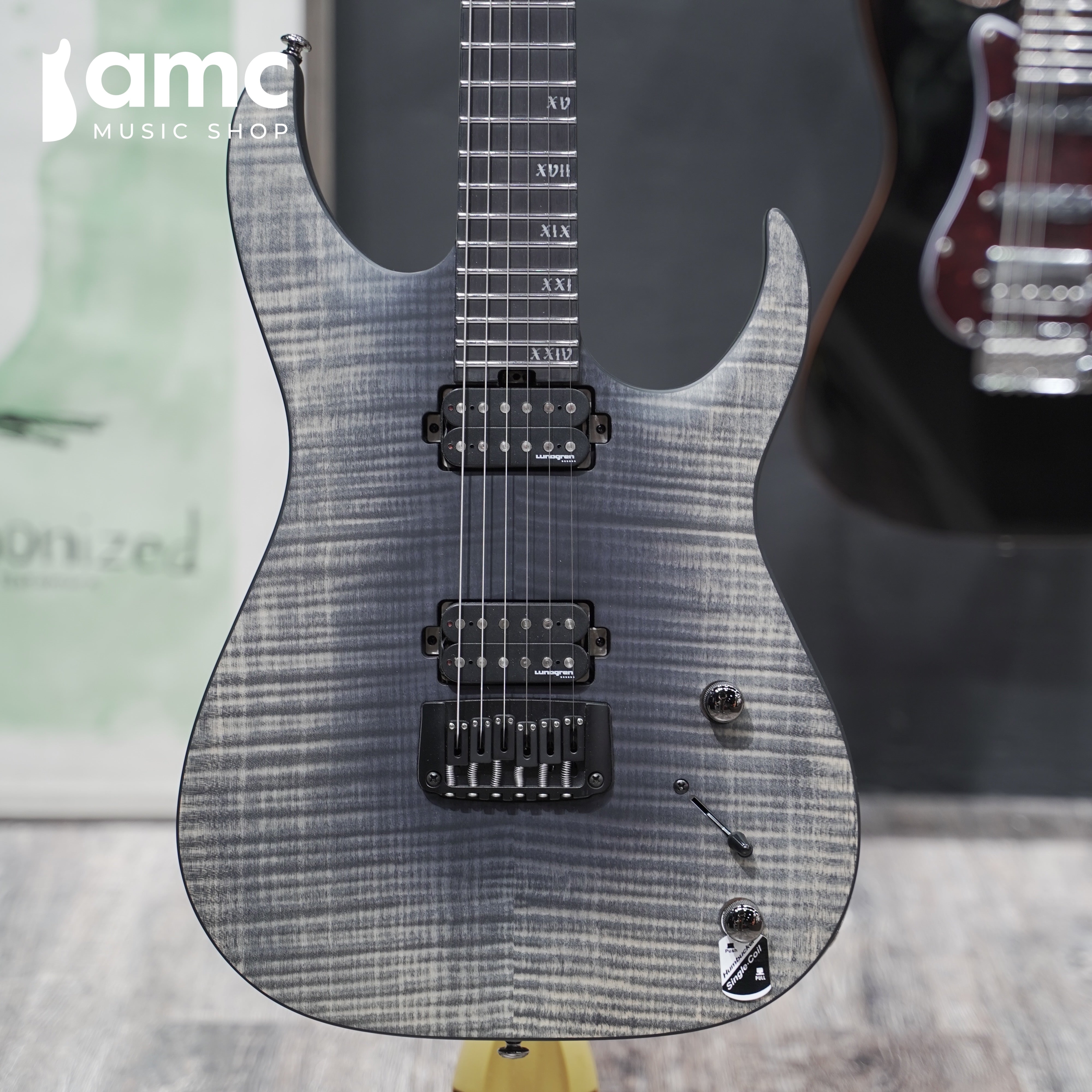 Schecter | Banshee Mach 6 [Fallout Burst]