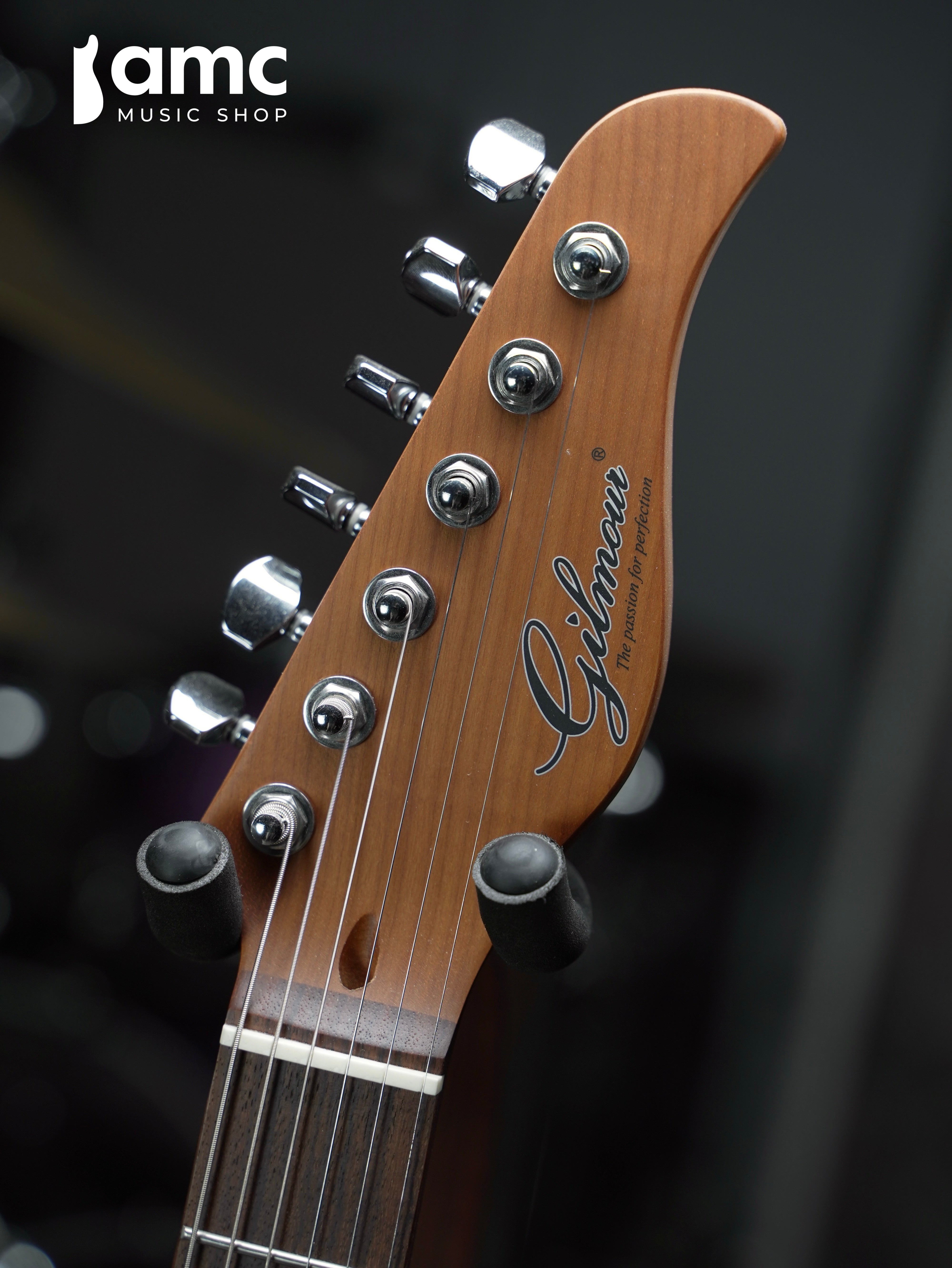 Gilmour ベース Gilmour Guitars PJ5 Gloss Deep Lake Placid Blue｜ミュージックランドKEY